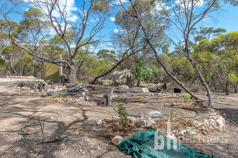 Additional image 23 of Lot 5 Black Hill Road, Cambrai SA 5353