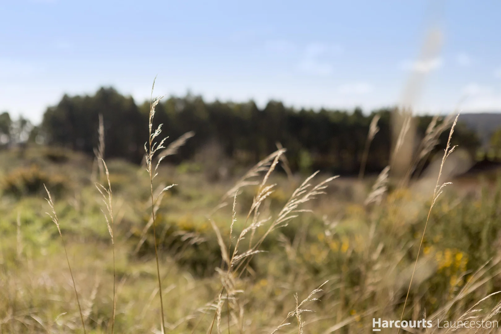 Additional image 3 of Stage 4 Cedar Grove Estate, St Leonards TAS 7250