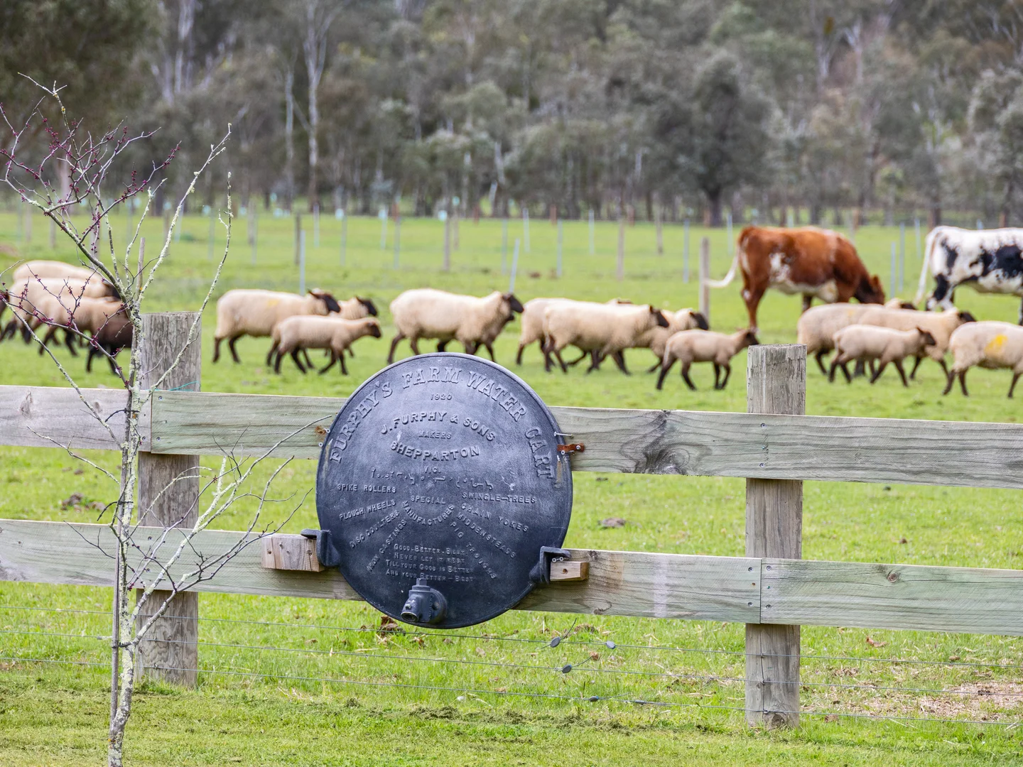 Additional image 43 of 290 Goulburn Valley Highway, Eildon VIC 3713