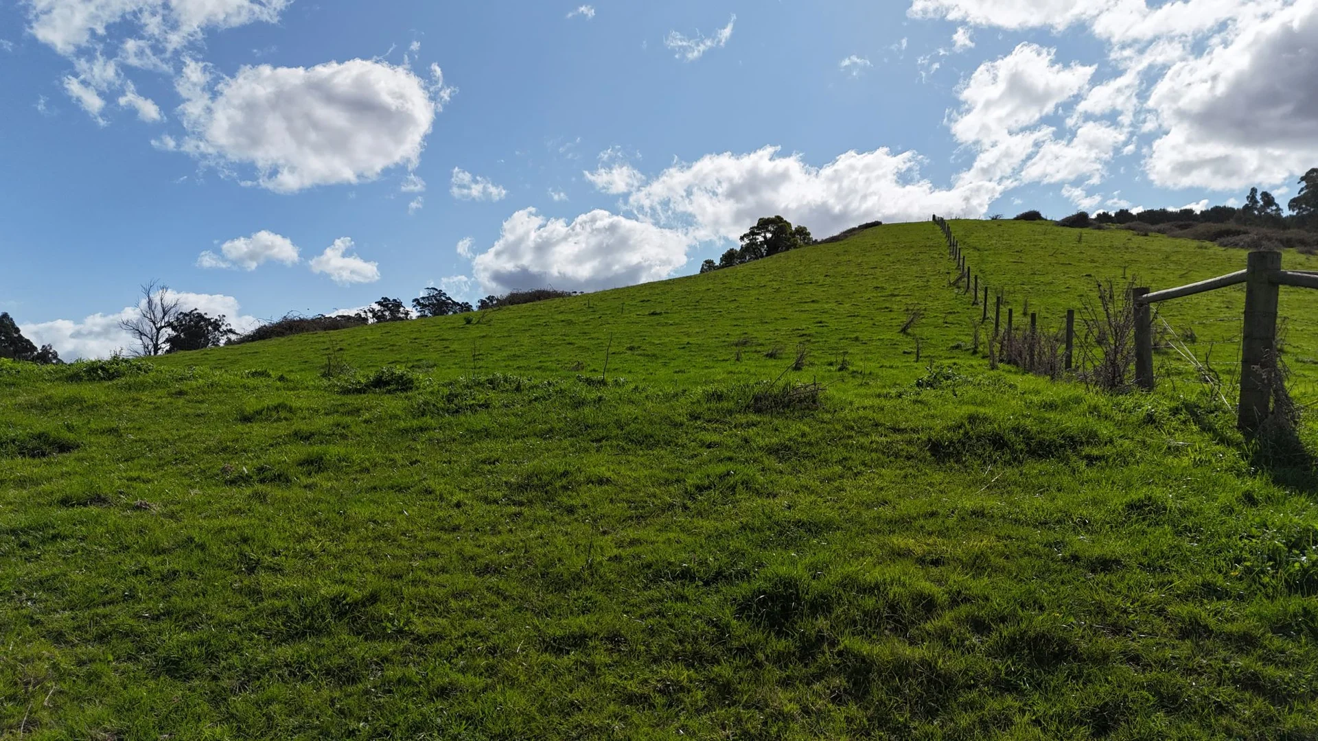 Additional image 15 of 141 BUNDERRA DRIVE, Boolarra VIC 3870