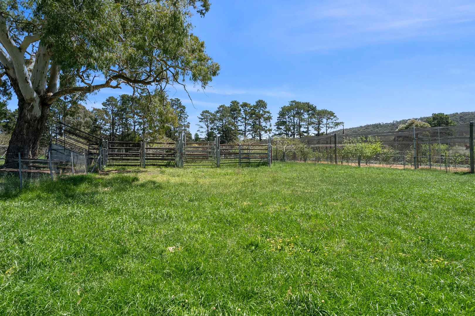 Additional image 24 of 2 Murrimba Road, Paddys River NSW 2577