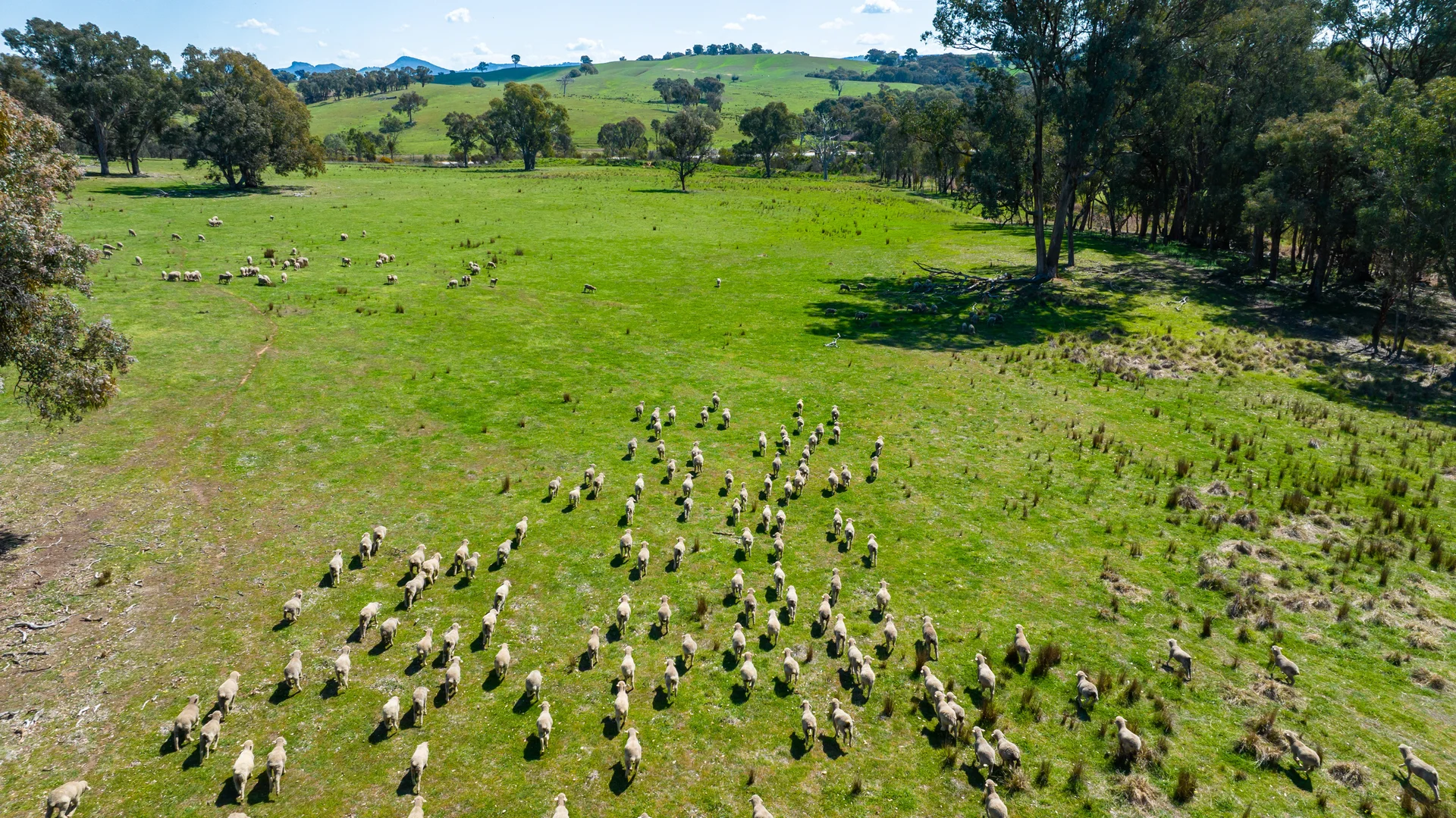 Additional image 6 of 13759 Hume Highway, Mullengandra NSW 2644