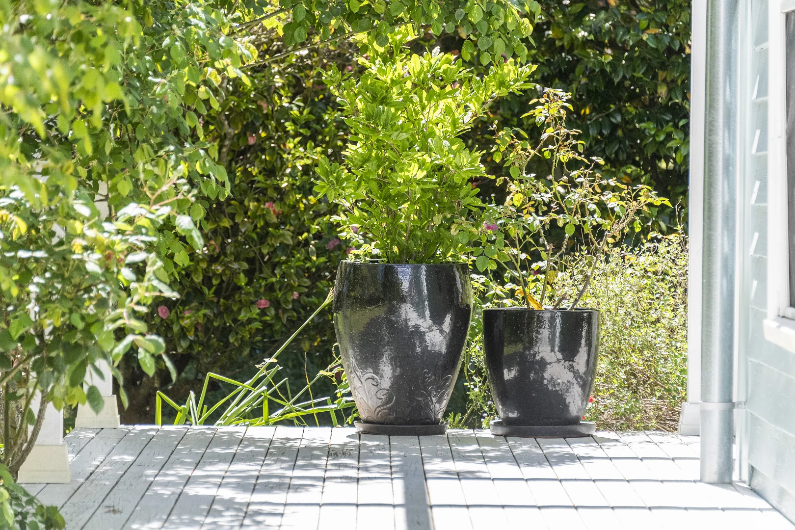 Additional image 19 of 1 School Lane, Exeter NSW 2579