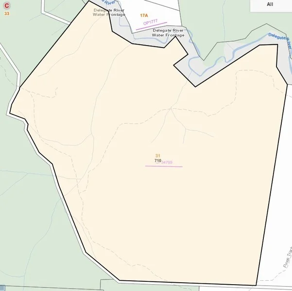 Additional image 15 of 710 Old Bendoc Bonang Road, Bendoc VIC 3888