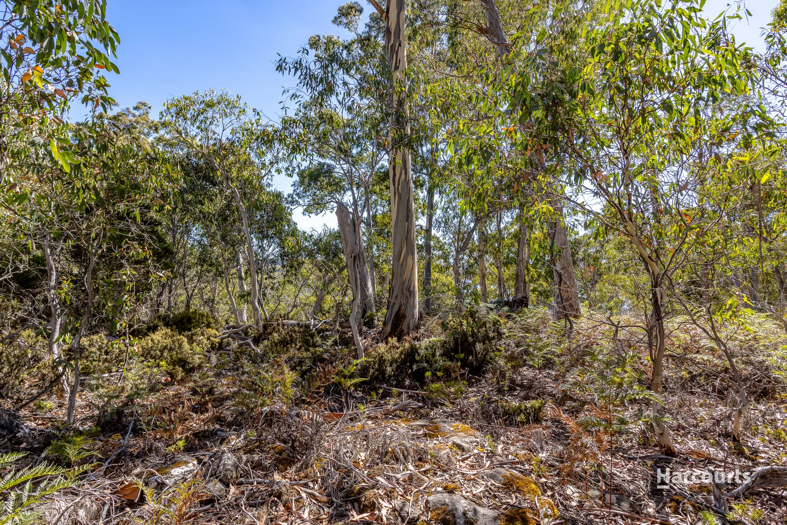 Additional image 8 of 25 Wigrams Way, London Lakes TAS 7140
