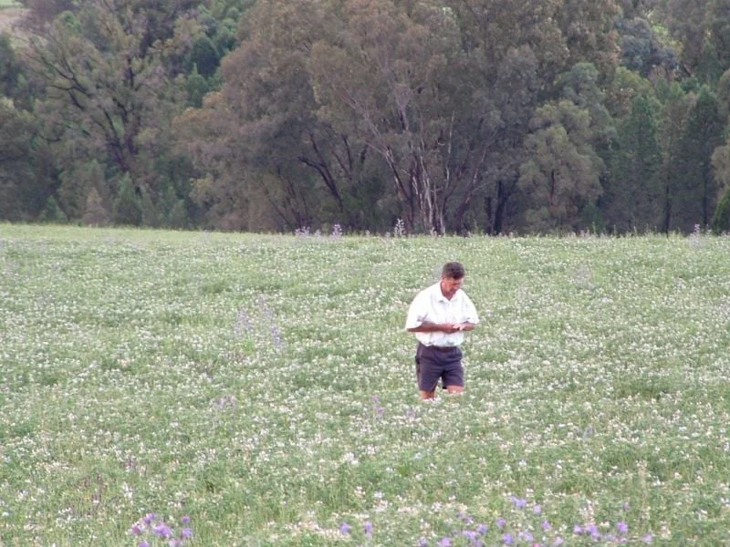 325 Toorawandi Road, Ulamambri NSW 2357