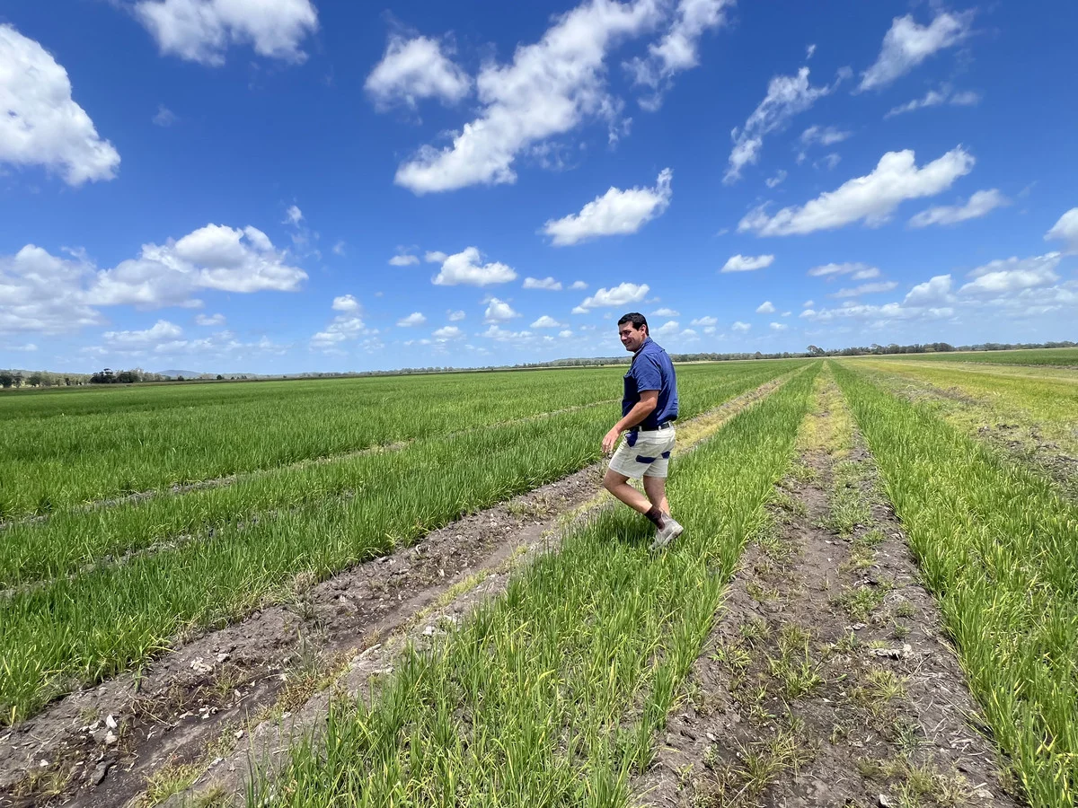 Additional image 14 of 360 Bungawalbin Whiporie Road, Bungawalbin NSW 2469