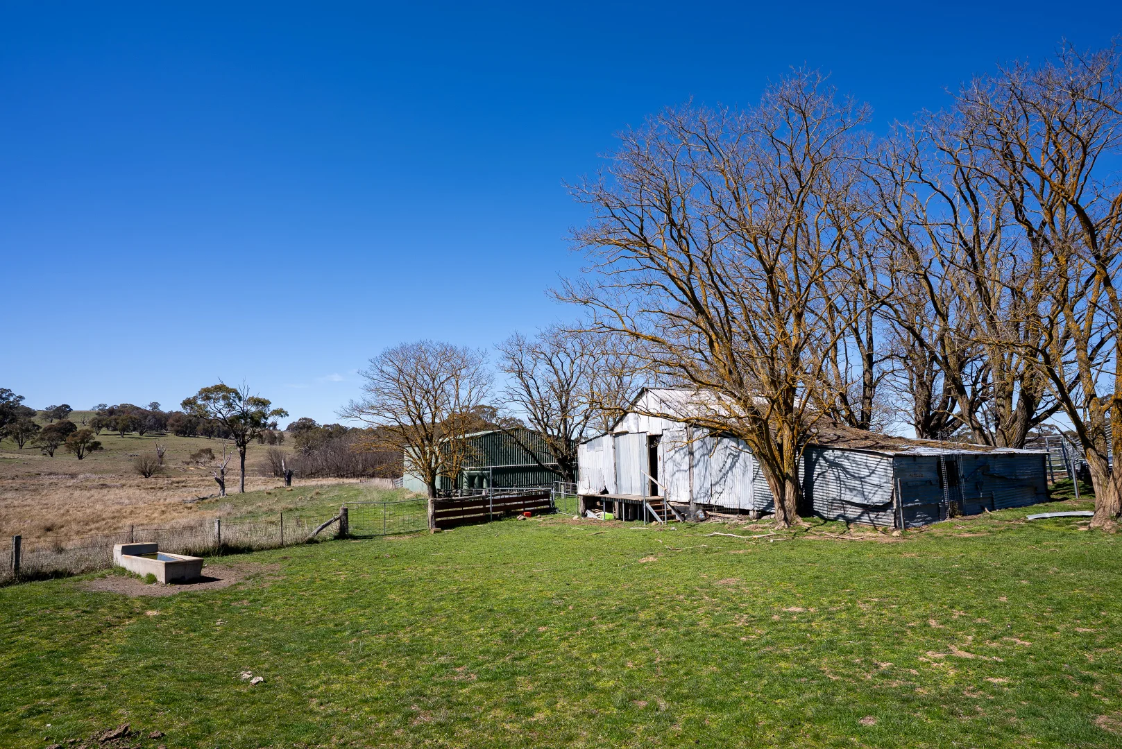 Additional image 10 of 5353 Trunkey Road, Trunkey Creek NSW 2795