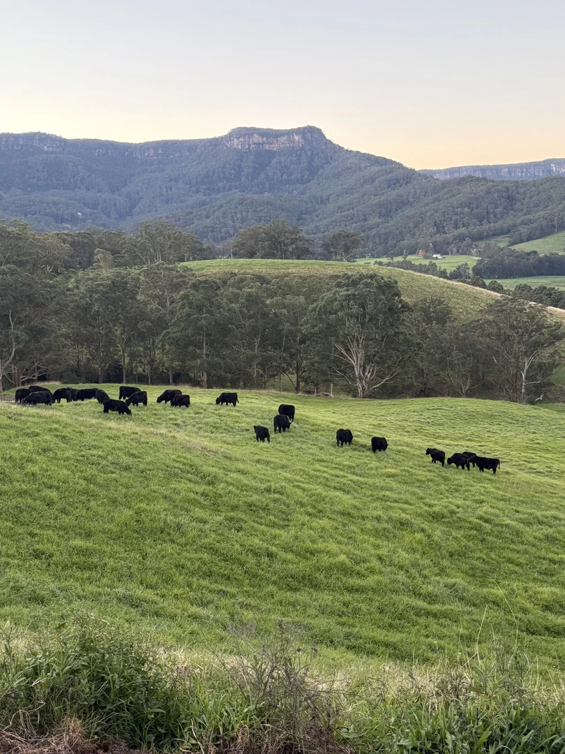 Additional image 14 of 2393 Moss Vale Road, Kangaroo Valley NSW 2577