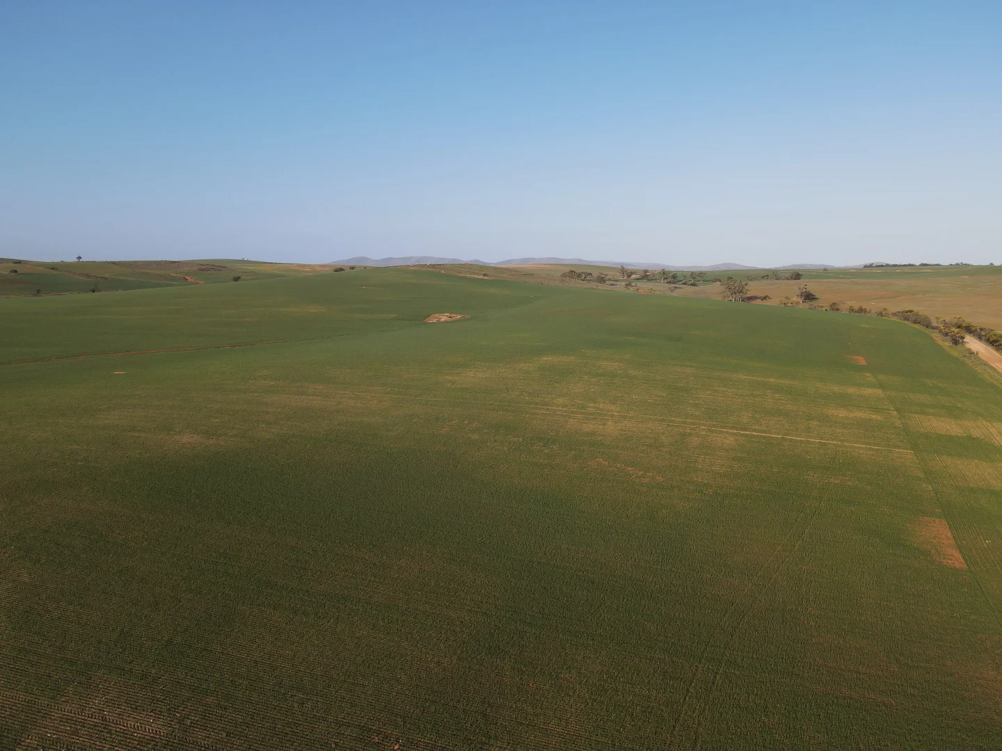 Additional image 17 of 222 Nicholls Rd, Booleroo Centre SA 5482