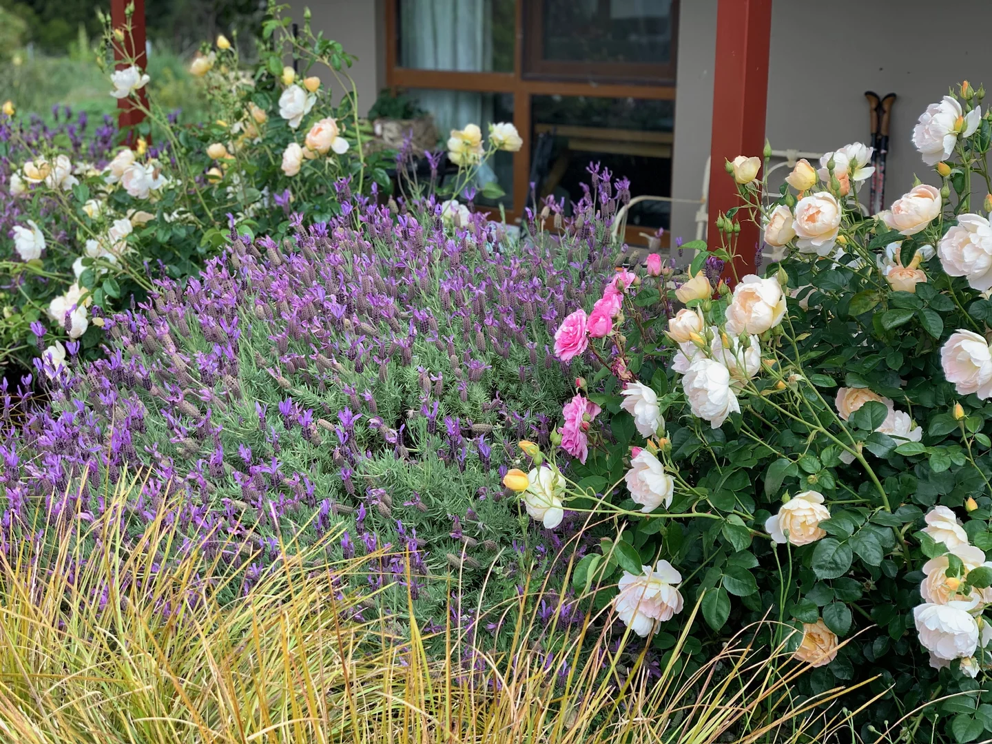 Additional image 45 of 385 Foxs Elbow Road, Braidwood NSW 2622