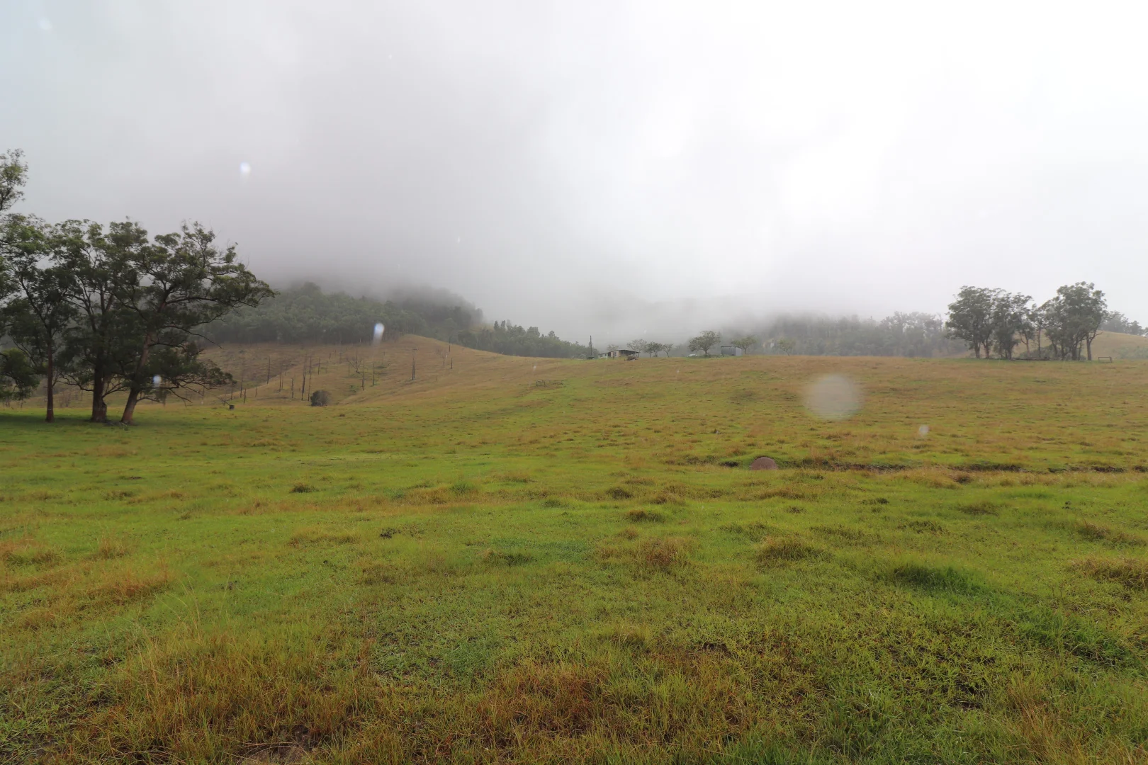 Additional image 28 of 8282 Armidale Road, Lower Creek NSW 2440