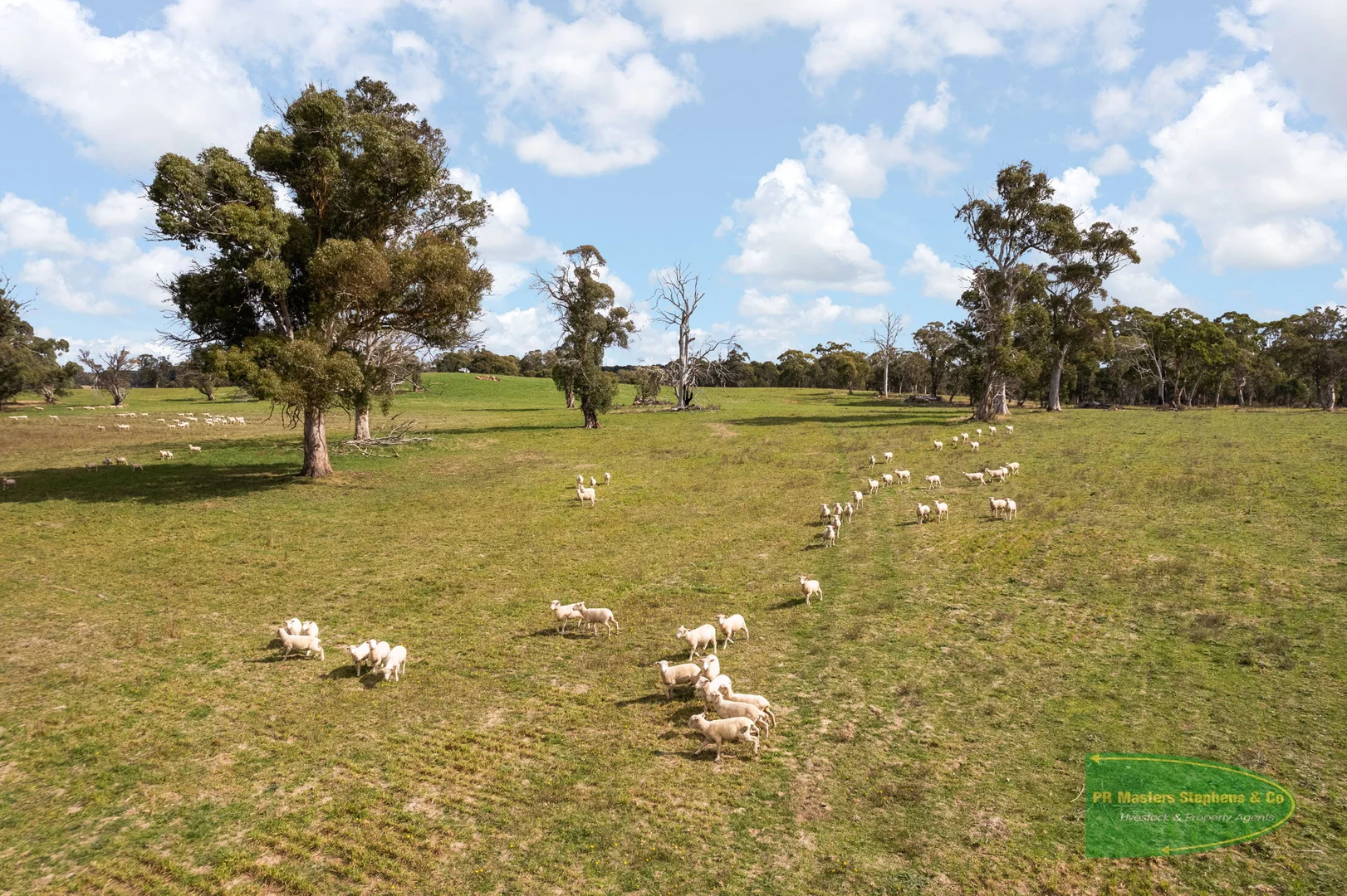 Additional image 51 of 800 Riverview Forest Road, Mozart NSW 2787