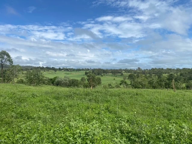 Additional image 2 of 181 Lindeman Drive, Bloomsbury QLD 4799