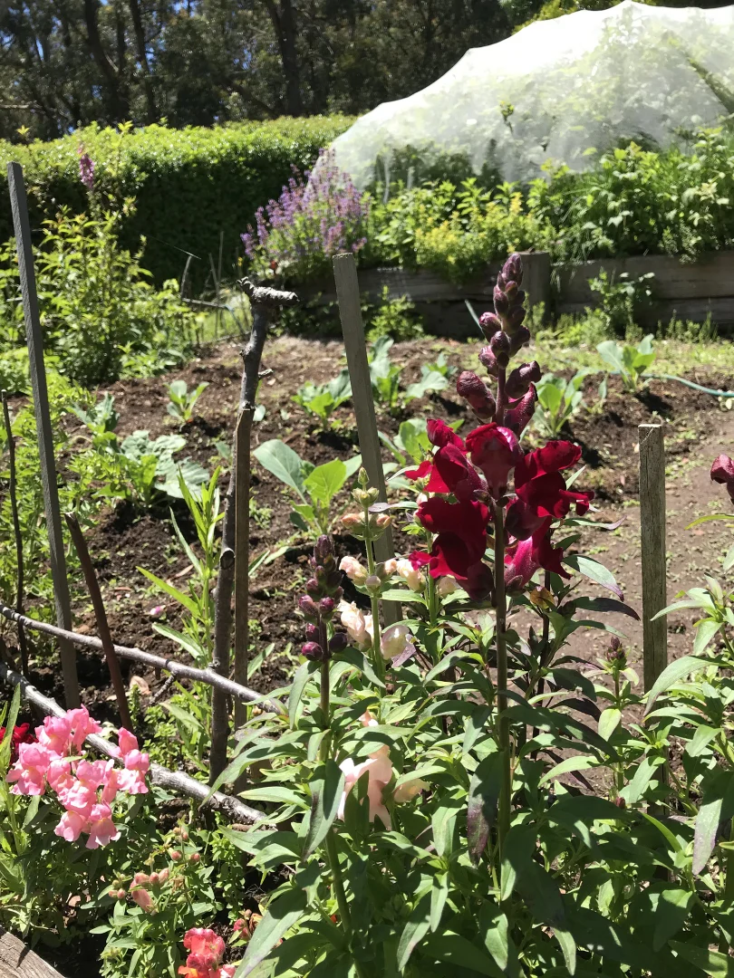 Additional image 20 of 1534 Mount Macedon Road Macedon, Macedon VIC 3440