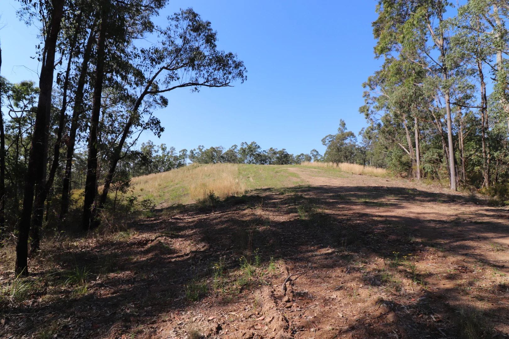 Additional image 9 of Lot 41 Collombatti Road, Collombatti NSW 2440