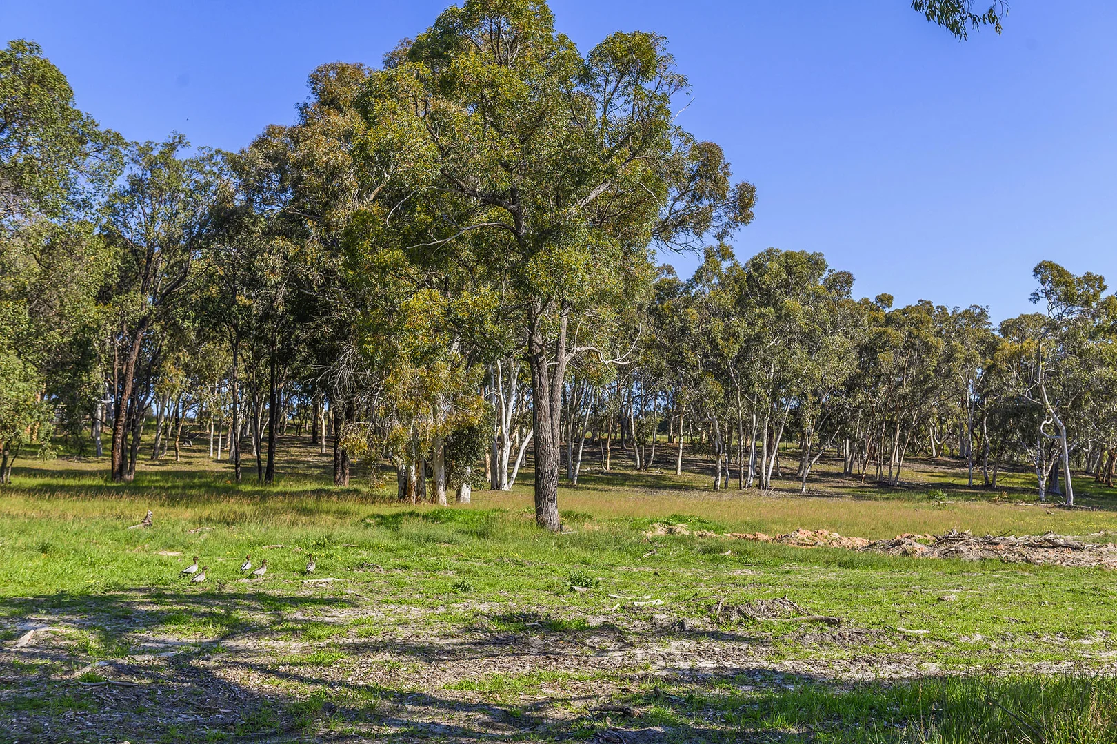 Additional image 10 of Guernsey Rise, Lower Chittering WA 6084