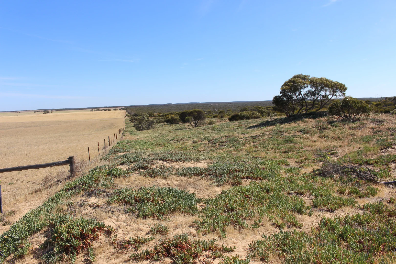 Additional image 3 of S22 Tori Hills Road, Sandalwood SA 5309