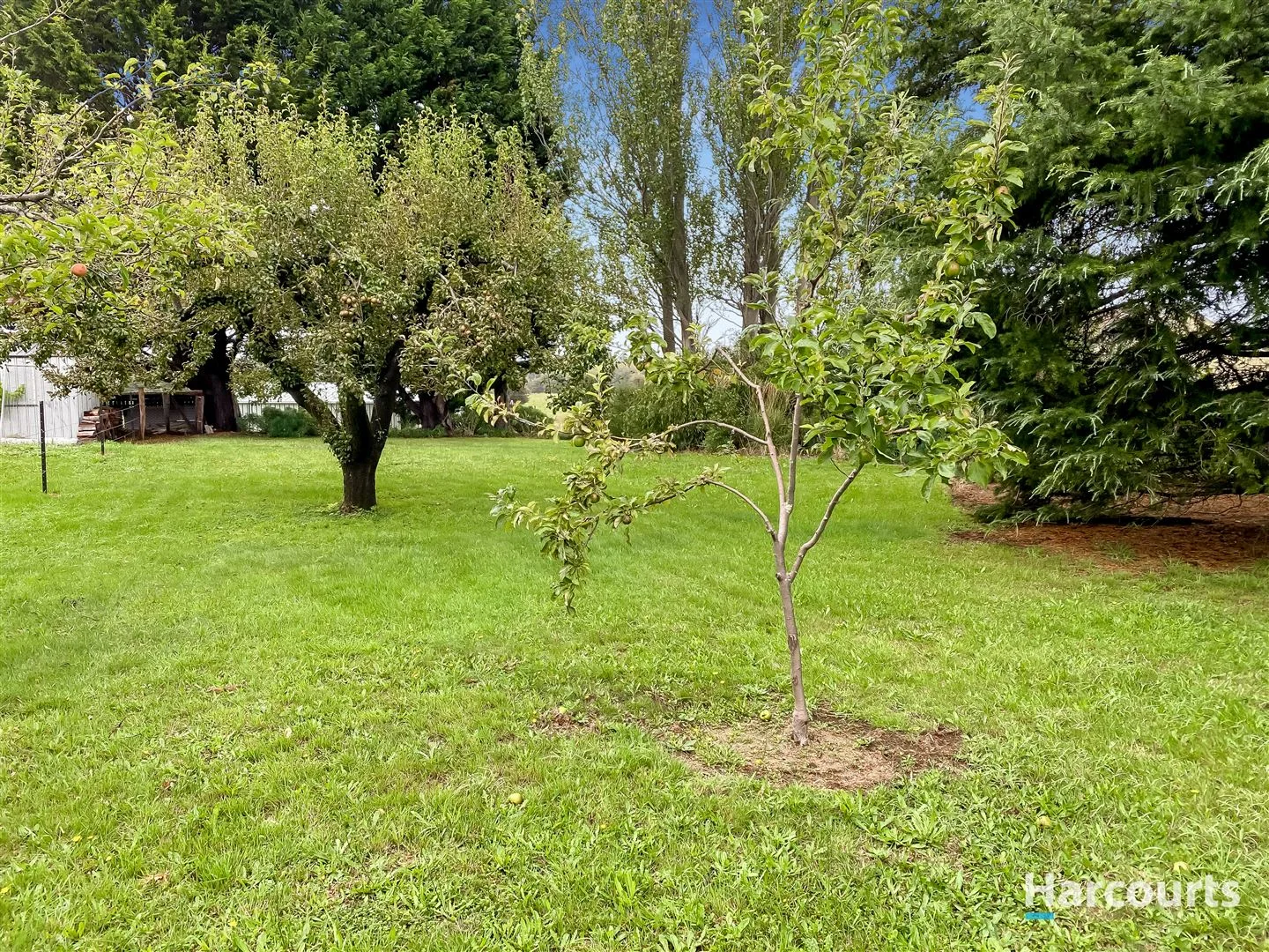 Additional image 4 of 10 Main Street, St Marys TAS 7215