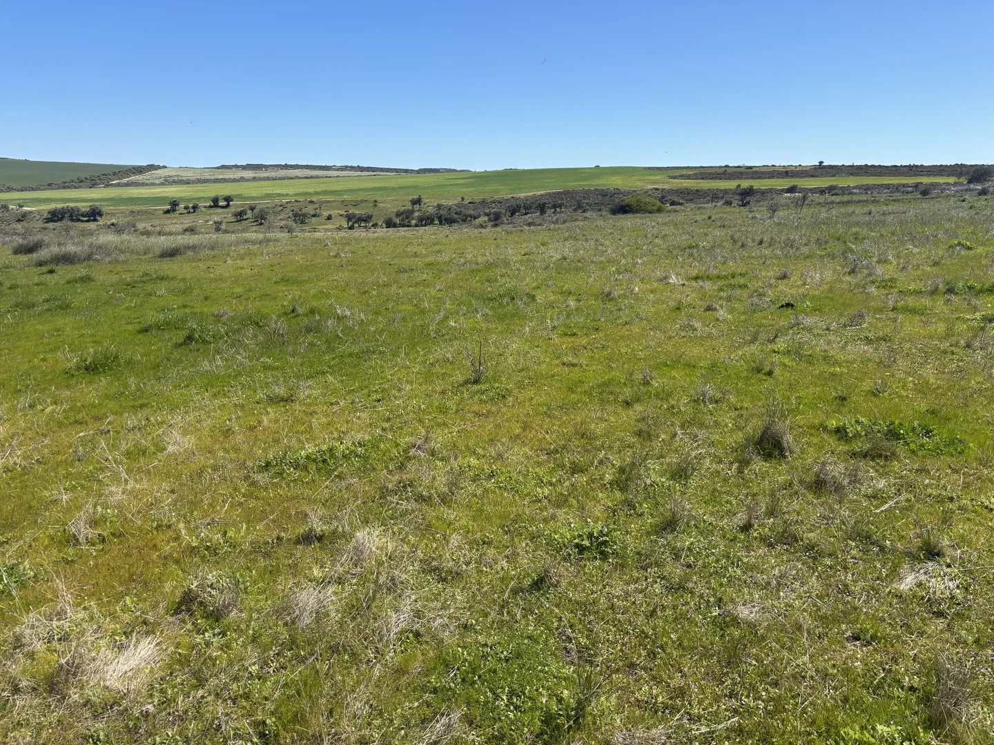 Additional image 18 of Lot 55 Ahern Place, Hickety WA 6532