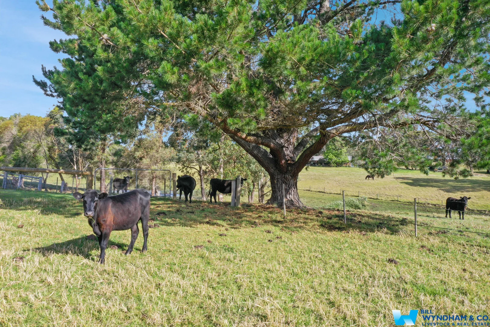 Additional image 29 of 9 Paterson Court, Nicholson VIC 3882