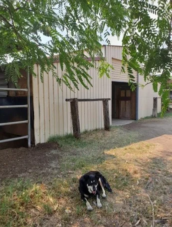 Additional image 4 of 23a Videroni St, Bundamba QLD 4304