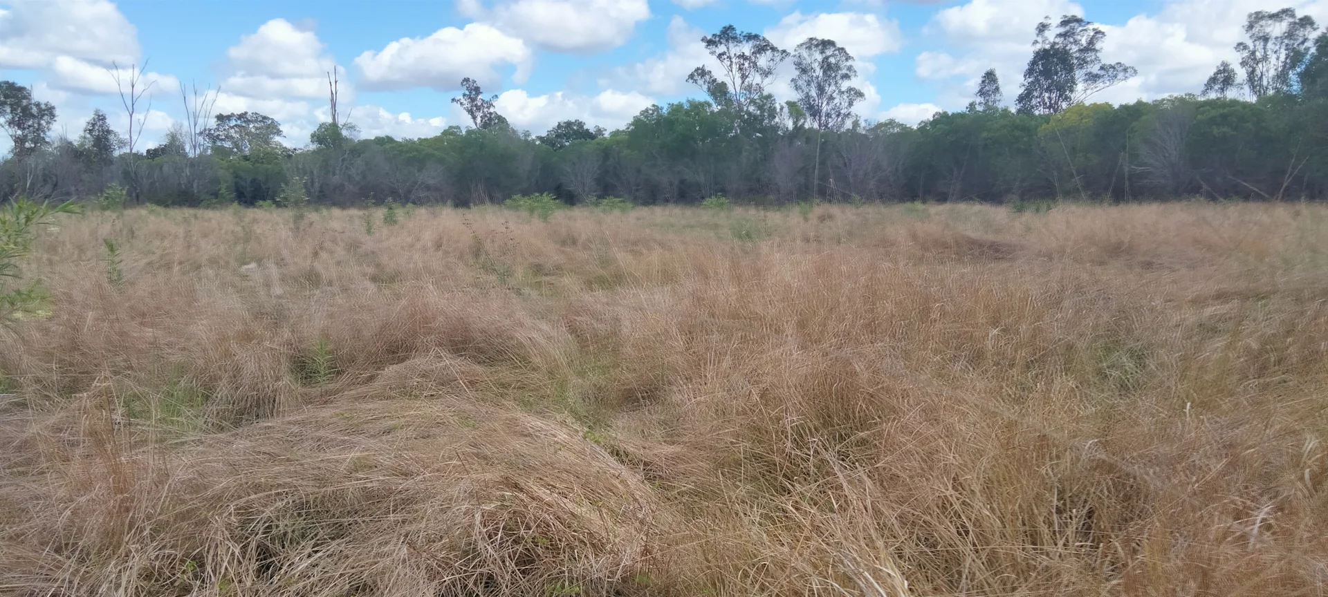 Additional image 36 of 3359 Lowmead Road, Lowmead QLD 4676