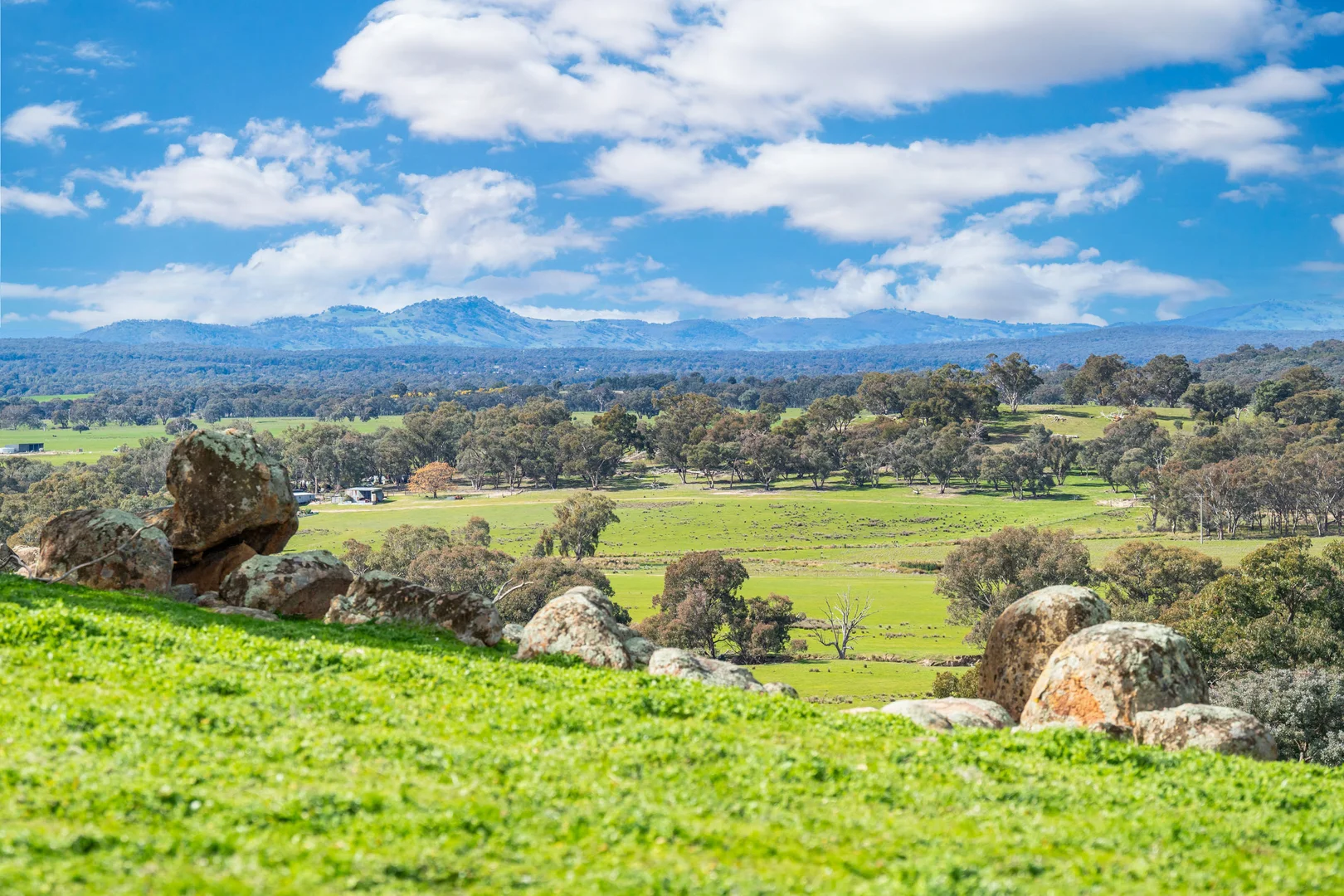 Additional image 7 of Rocky Creek Road, Springhurst VIC 3682