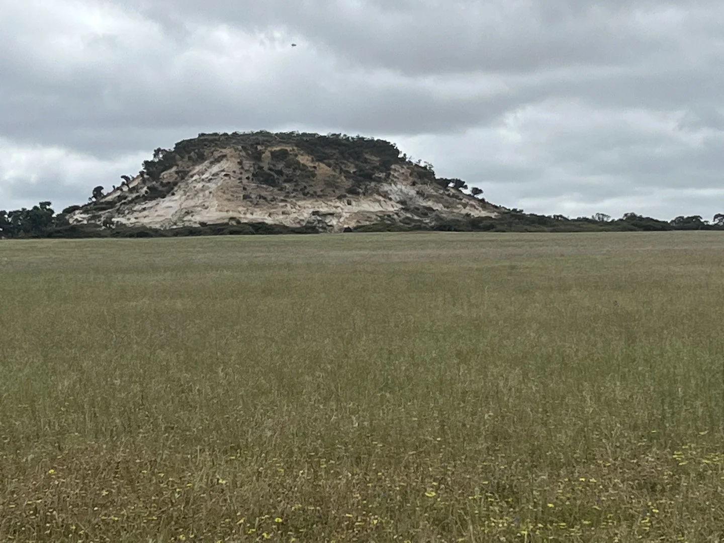 Lot 100 First North Road, Kadathinni WA 6519