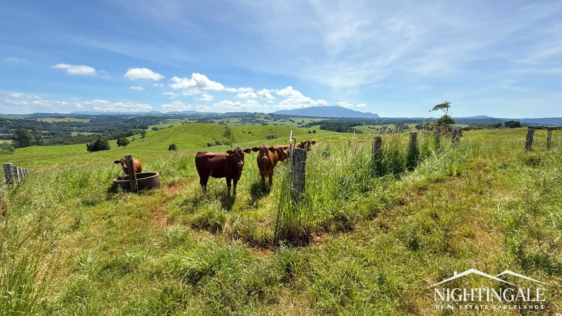 Additional image 6 of 279 Hosie Road, Tarzali QLD 4885