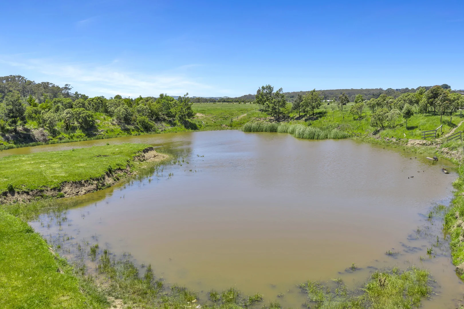 Additional image 17 of Almurta VIC 3979