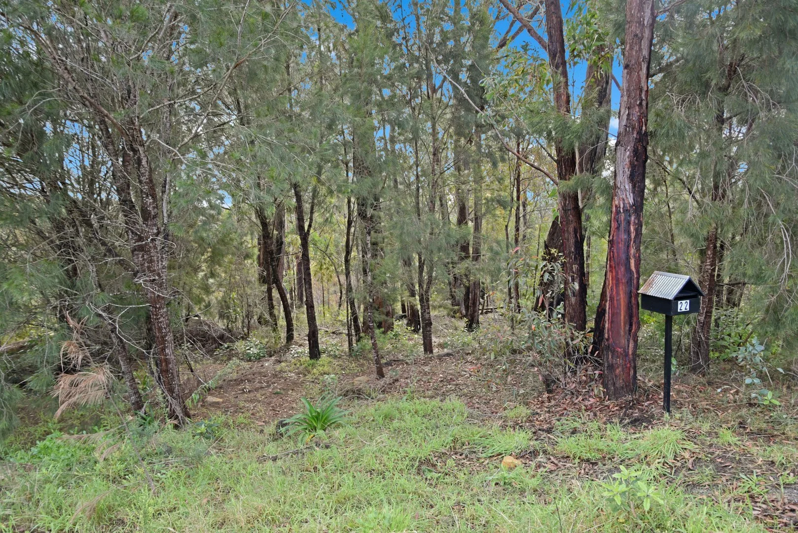 22 Gascoigne Street, Willow Vale NSW 2575