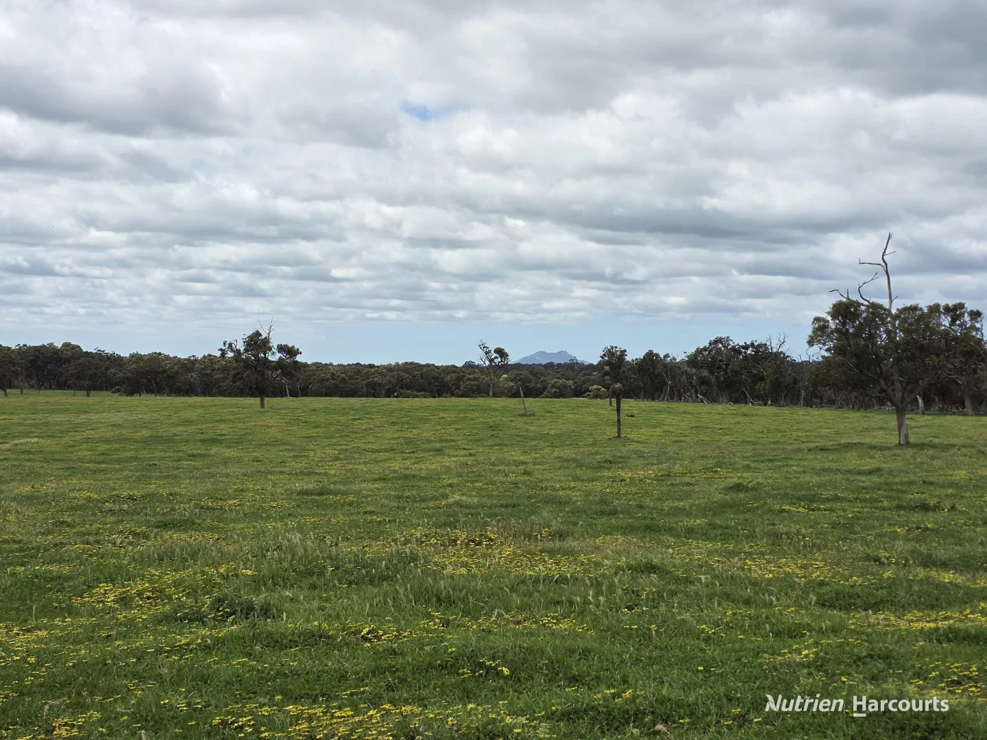 Additional image 19 of 1867 Chester Pass Road, Napier WA 6330