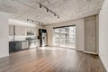 Additional image 58 of 751 N Hudson Ave, Chicago, IL, 60654