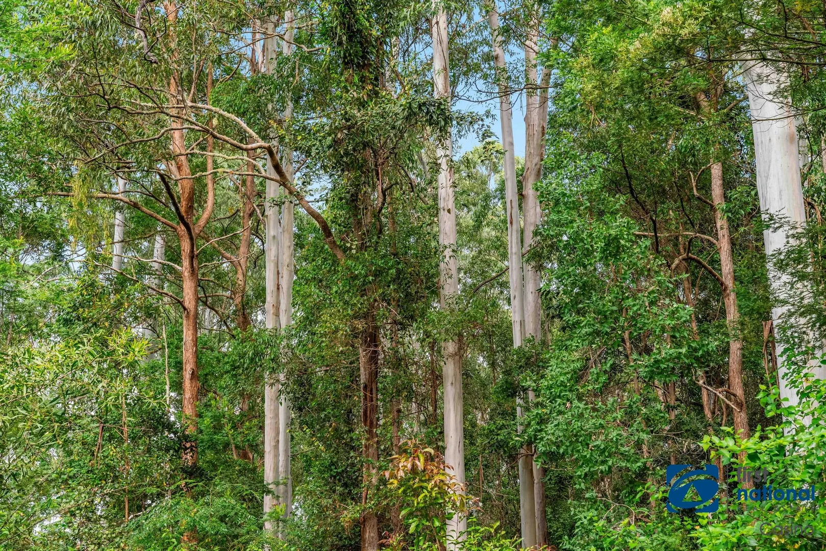 Additional image 28 of 1212 Beaury Creek Road, Urbenville NSW 2475