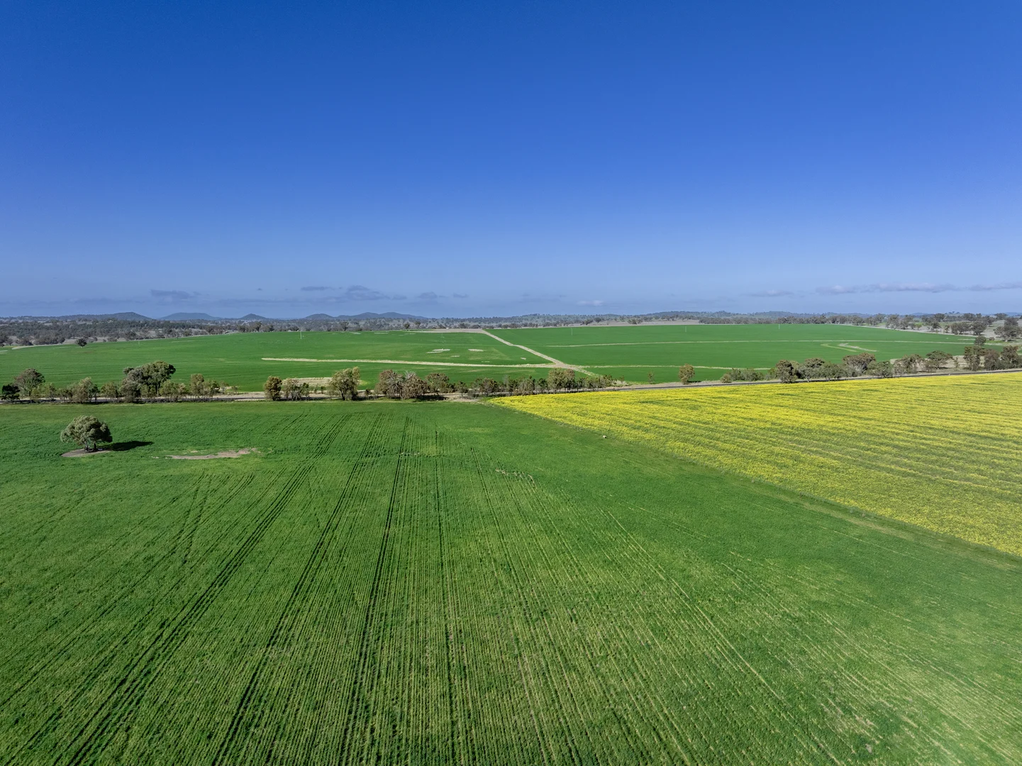 Additional image 13 of Mount Bodangora 5008 Goolma Road, Wellington NSW 2820