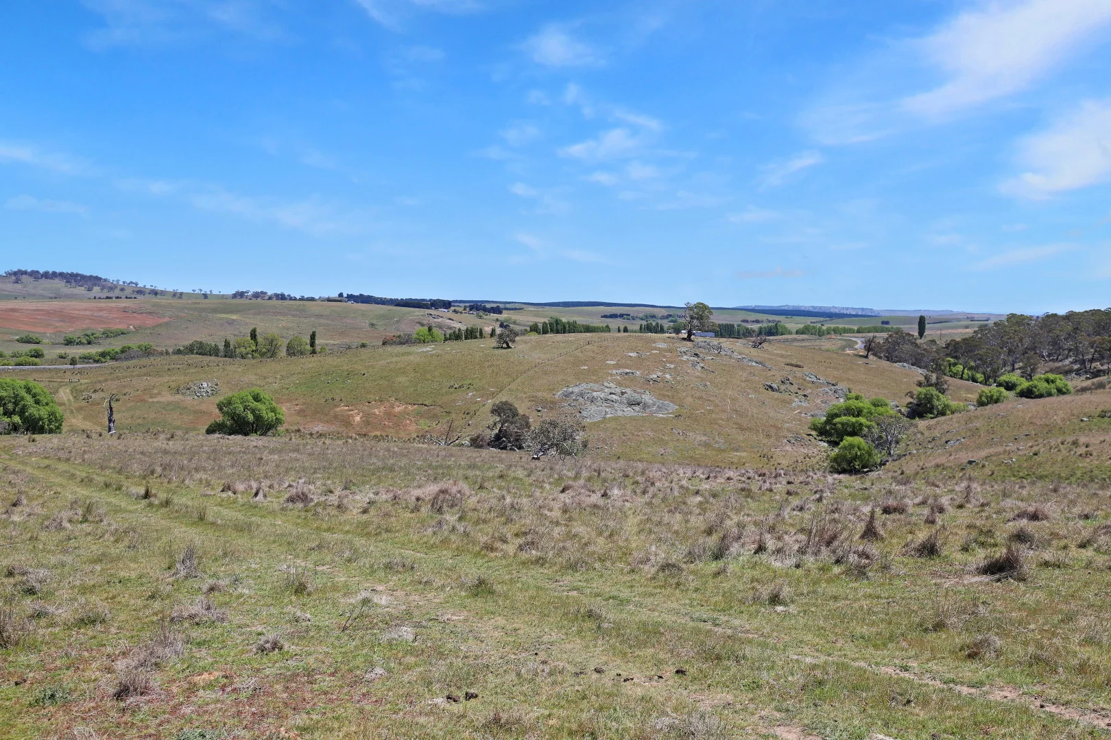 Additional image 15 of Lot 50 Delegate Road, Bombala NSW 2632