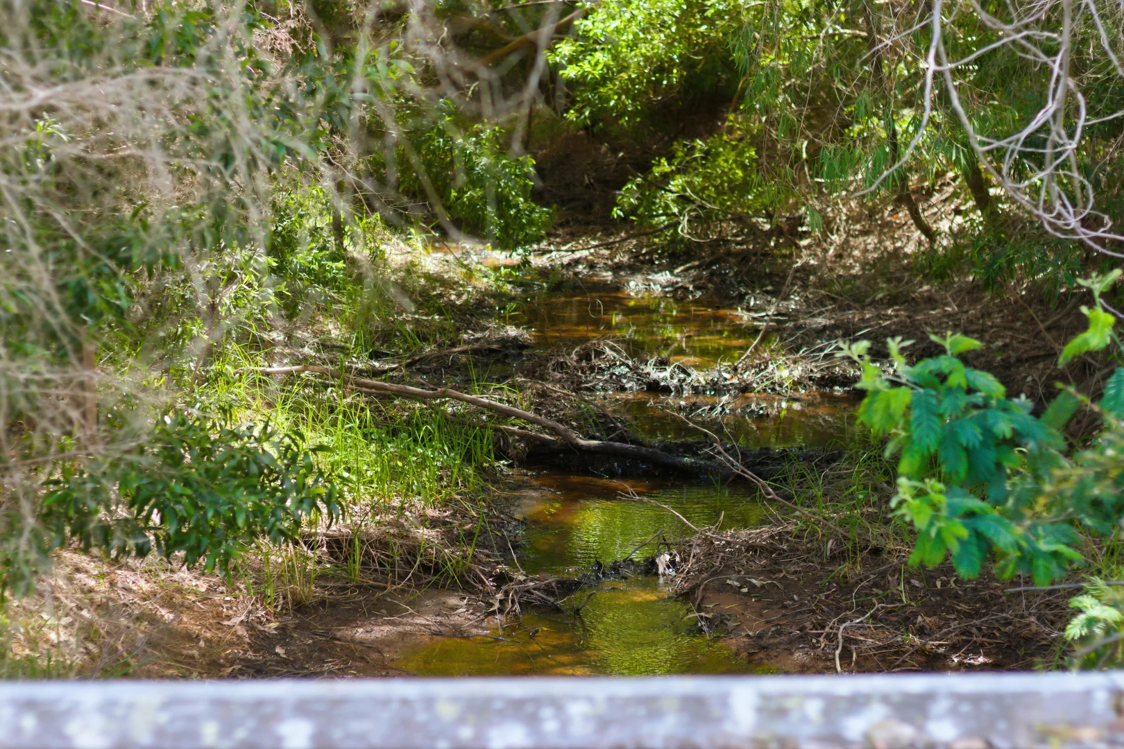 Additional image 13 of Lot PL 2/1120 Wildwood Road, Yallingup Siding WA 6282