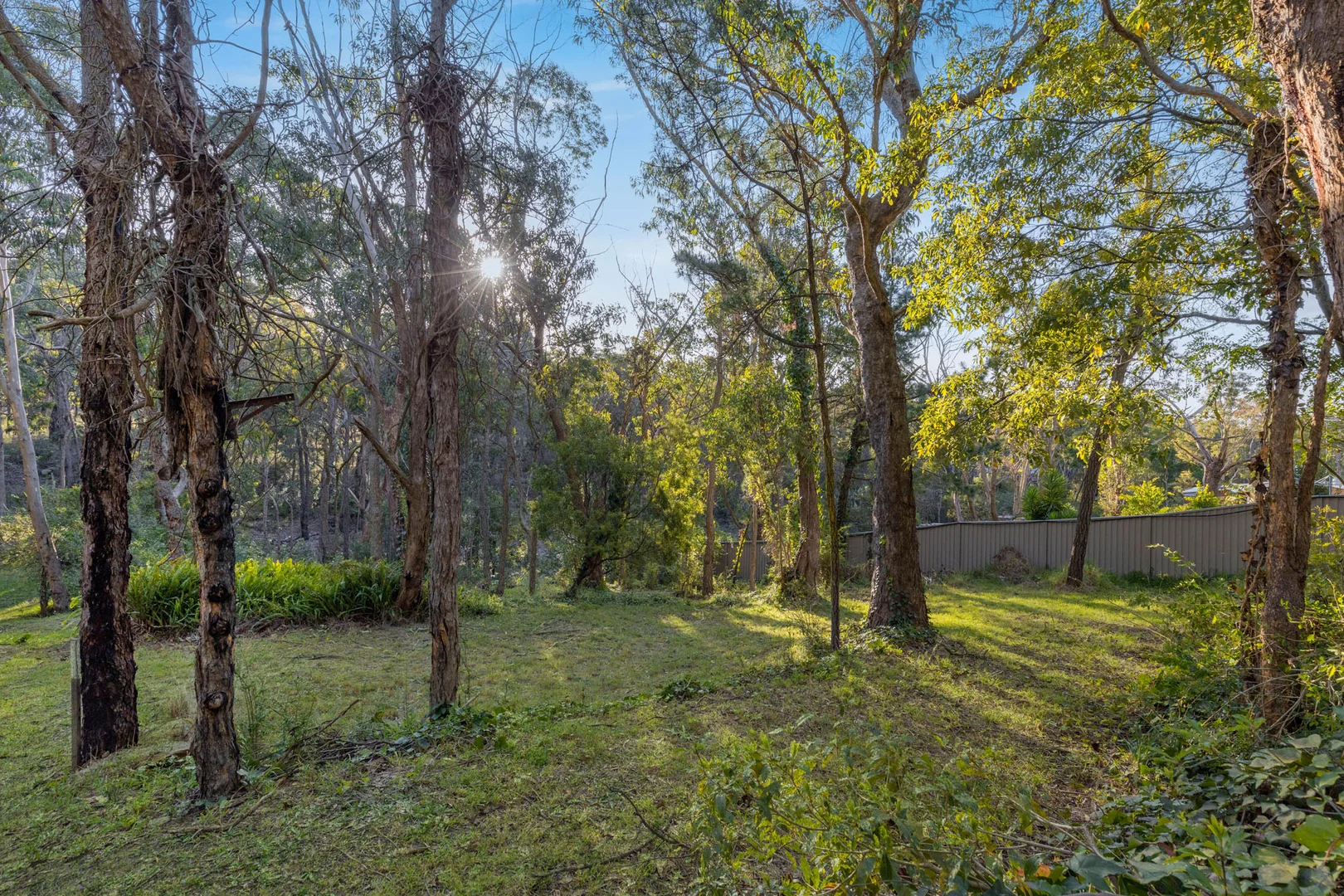 Additional image 6 of 66 West Parade, Buxton NSW 2571