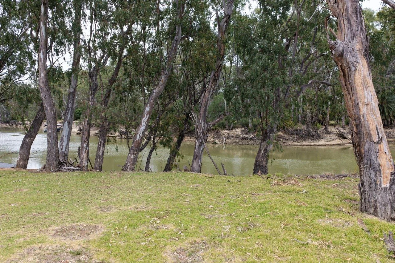 Additional image 3 of 31 ARMSTRONG DRIVE, Barham NSW 2732