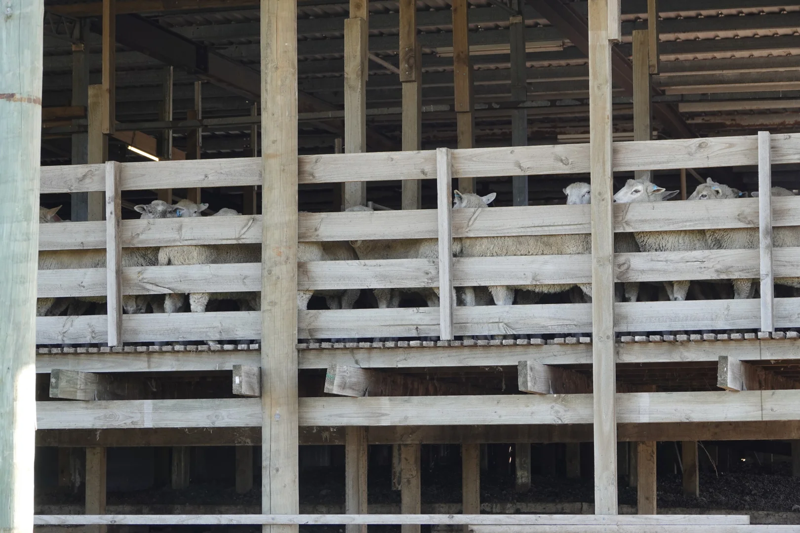 Additional image 8 of 75 Duckhole Flat Road, German Flat SA 5280