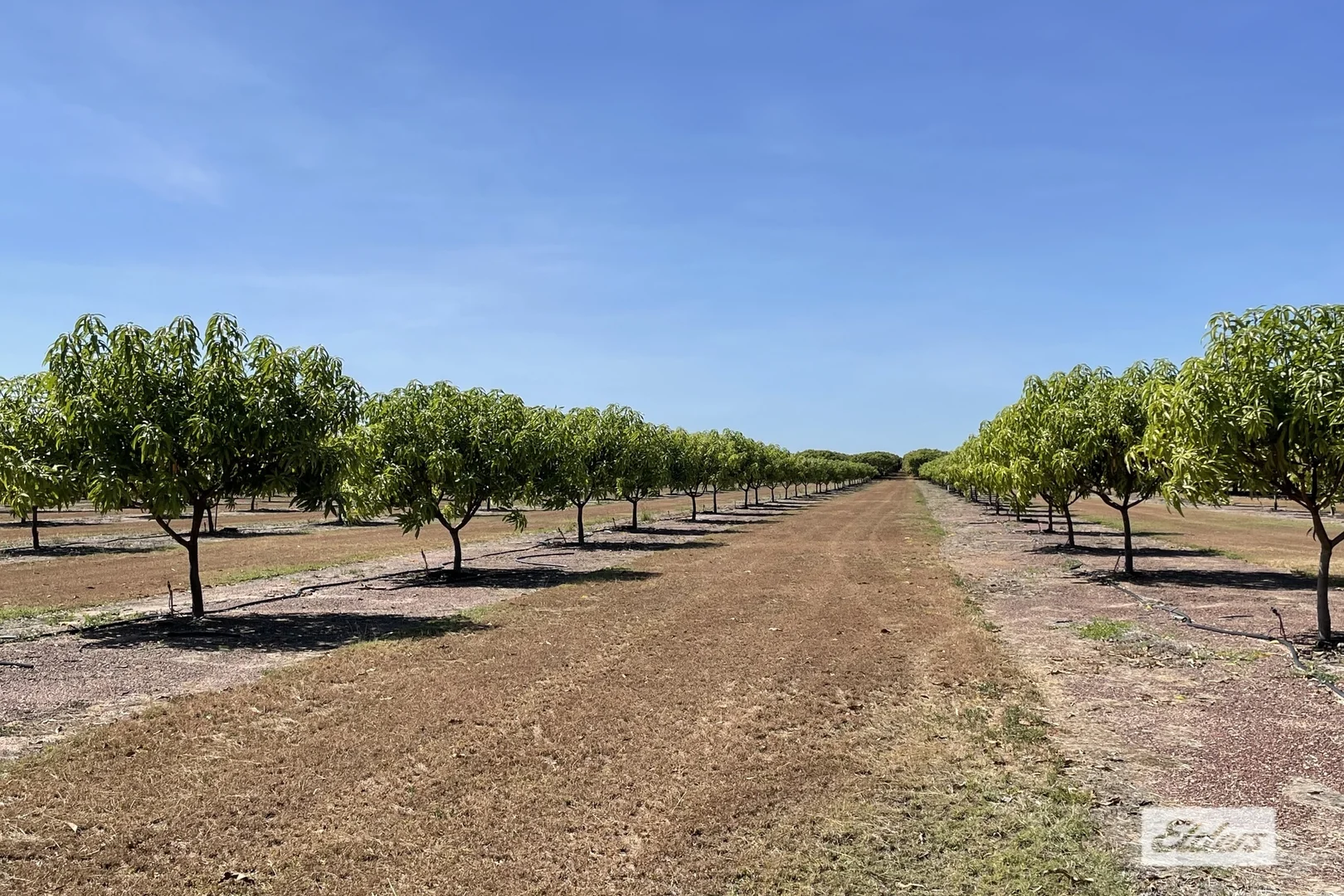 Additional image 8 of 30 Cain Road, Lambells Lagoon NT 0822