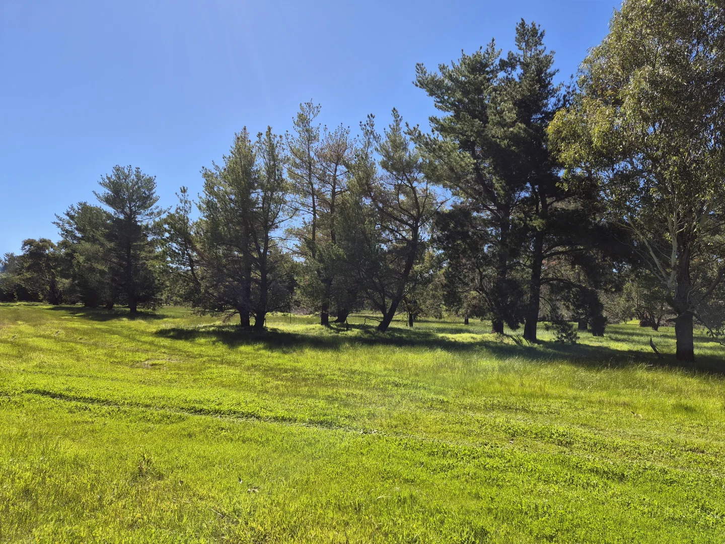 Additional image 4 of 190 Flourmill Cove, Cowalla WA 6503