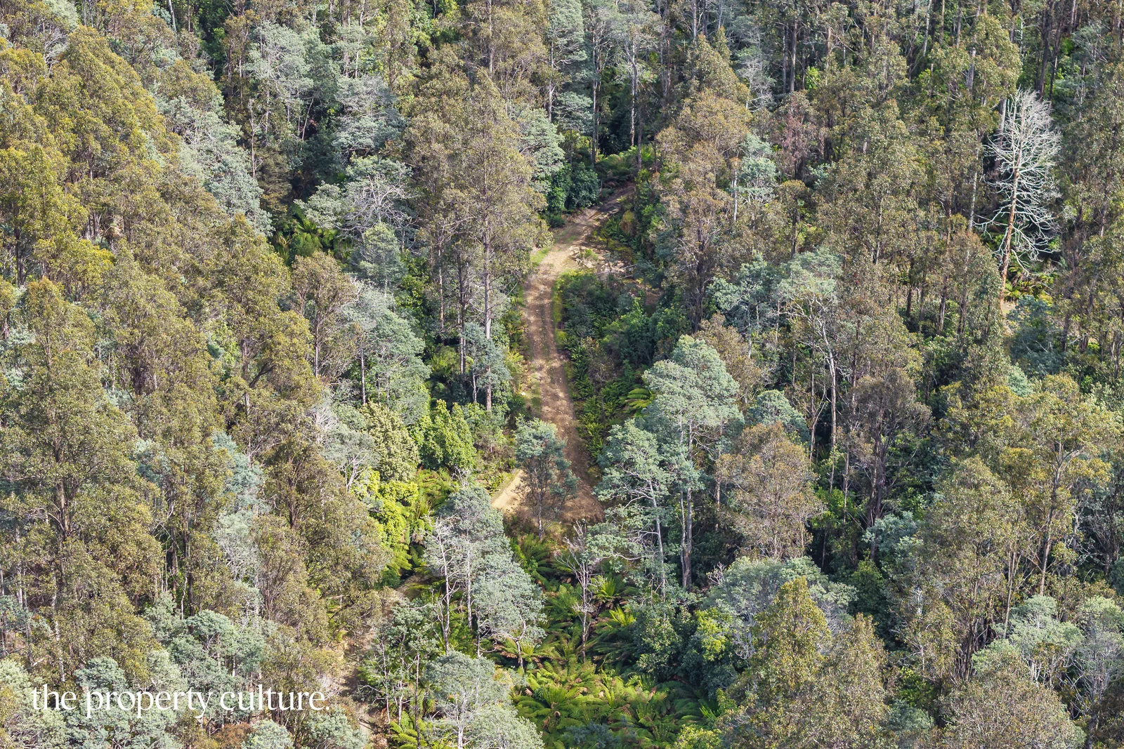 Additional image 4 of 1, 2 & 3 Bakers Creek Rd, Lucaston TAS 7109