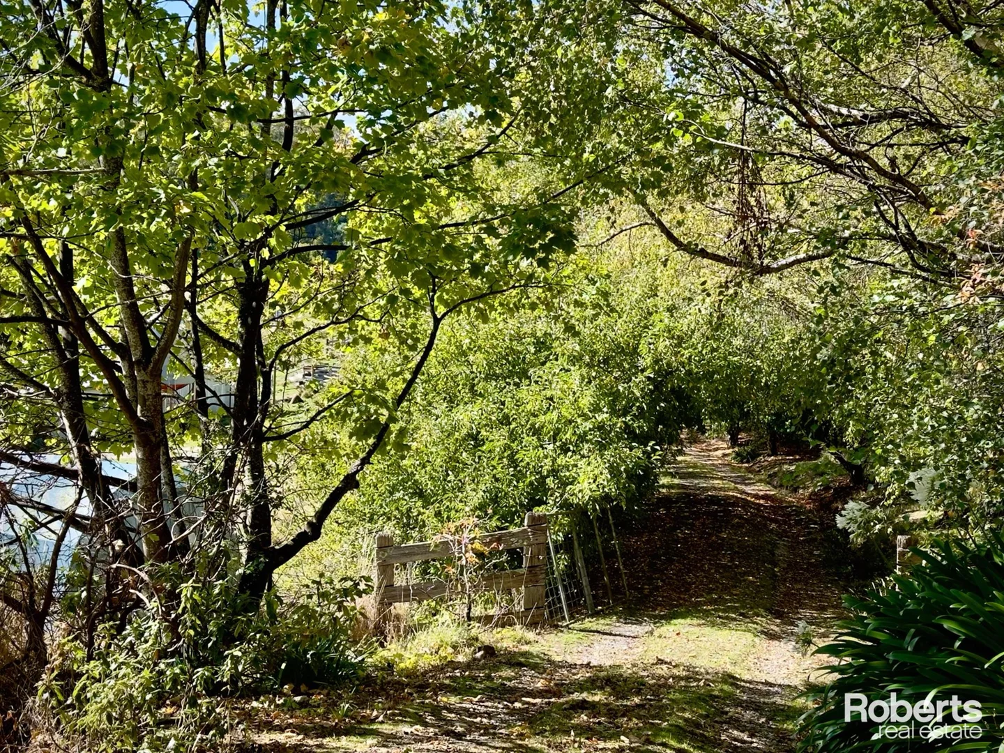 Additional image 13 of 55 Miles Road, Mole Creek TAS 7304