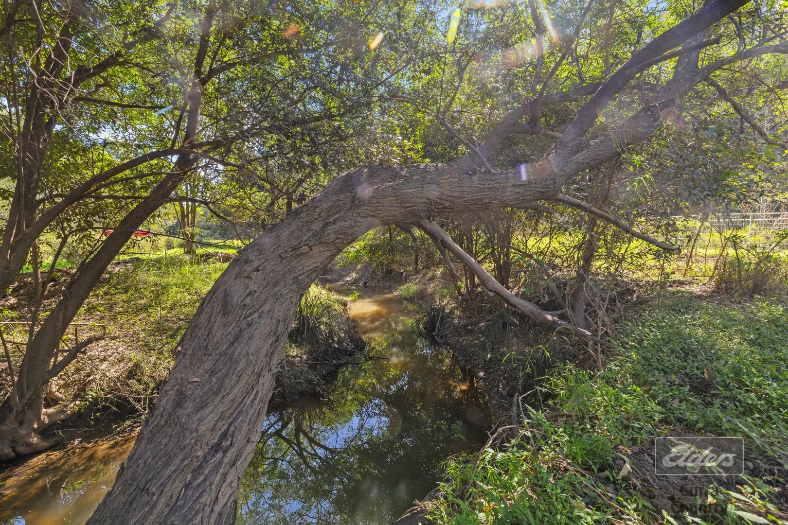 Additional image 16 of 709 Glen Echo Road, Glen Echo QLD 4570