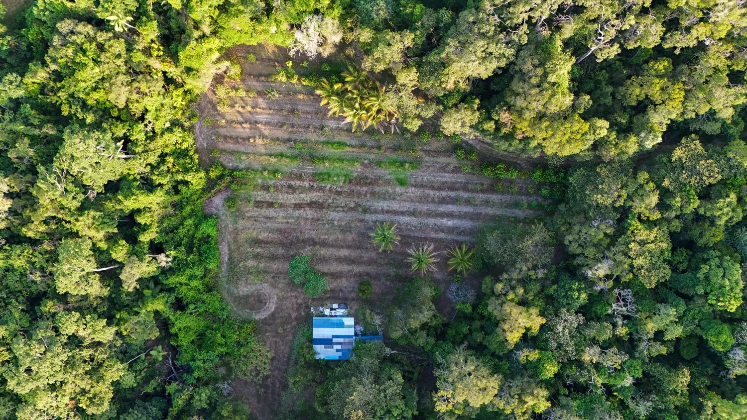 Additional image 29 of 1060 Pine Creek Yarrabah Road, East Trinity QLD 4871