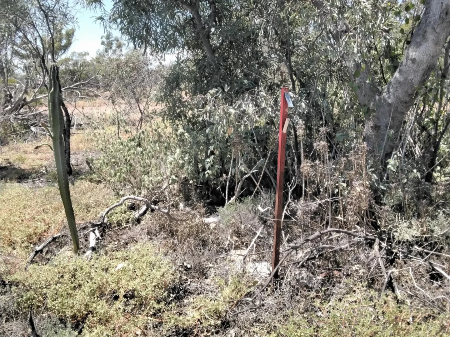 Additional image 2 of Lot 40 Mining Route, Lightning Ridge NSW 2834