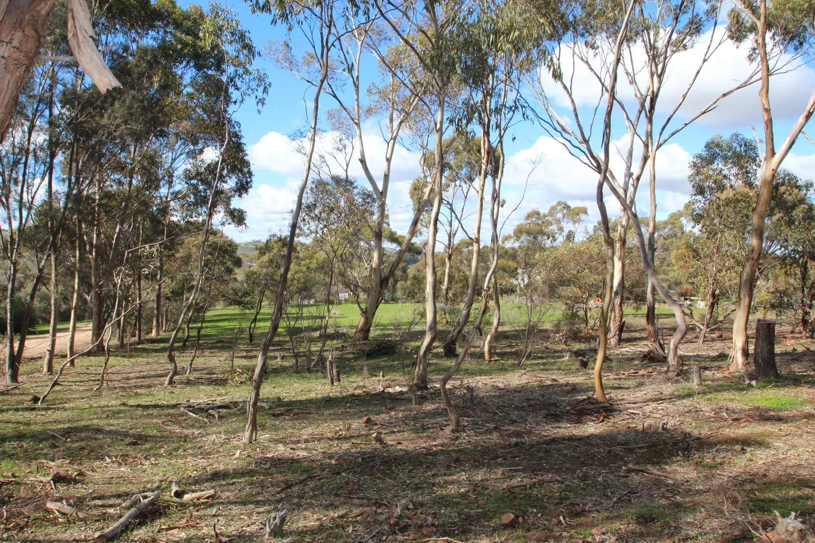 Additional image 4 of 9 West Terrace, Leasingham SA 5452