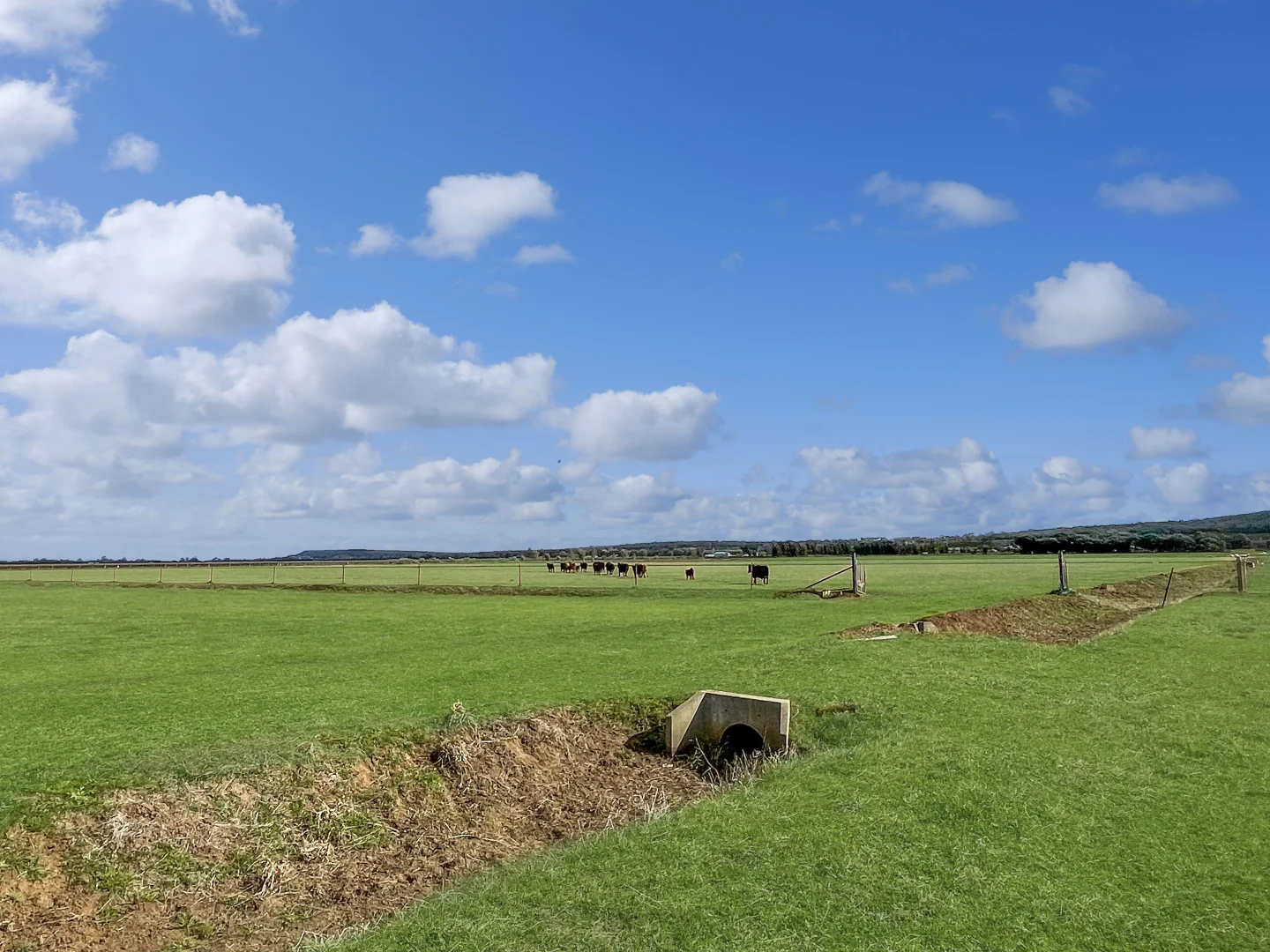 Additional image 6 of 12 Fowler Road, Beelbangera NSW 2680